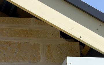 soffit repair Haslucks Green